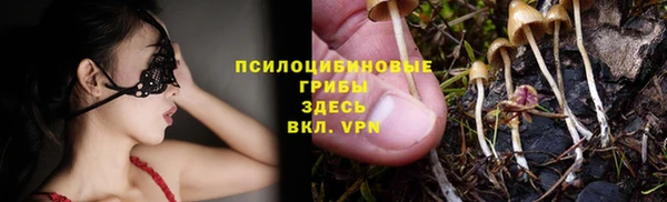 jwh Бородино