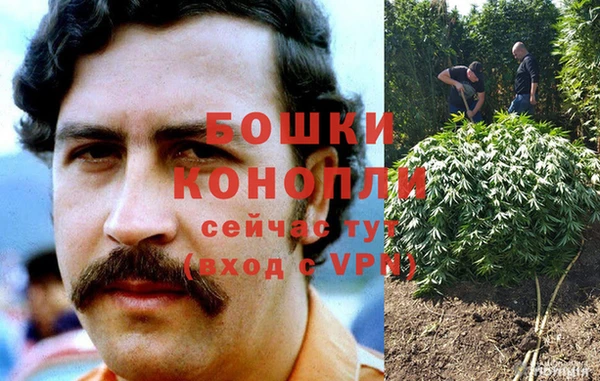 ALPHA PVP Билибино