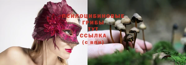 мяу мяу мука Беслан