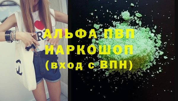 СК Бикин